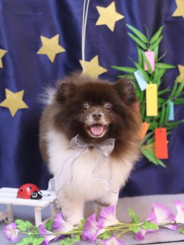 20230727太郎くん